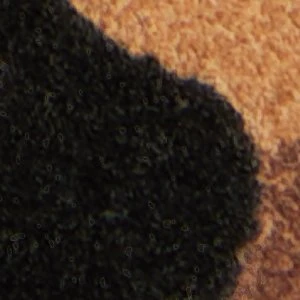 Kalya - Image 8