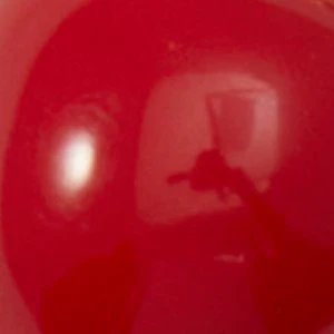 Playful - Image 2