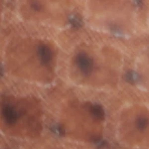 Re-olivia - Image 7