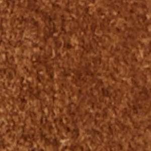 Rocko - Image 9