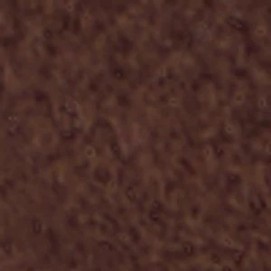 Sunnyside - Image 9
